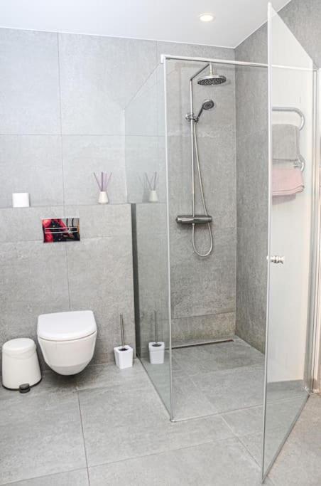 Rami Erdve Salia Misko Ir Ezero Darbui Ir Poilsiui Apartament *